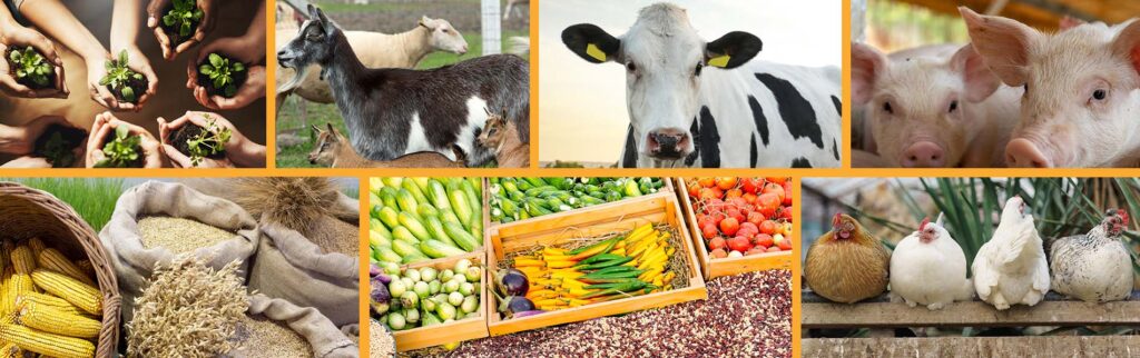 Dig in, get your hands dirty, and experience life on the farm! At Farm & Animal Care Camp, middle schoolers become hands-on farmers for the week—tending to crops, caring for animals, and learning the importance of sustainable living. Working alongside our campus farmers, campers will feed and groom goats [...]